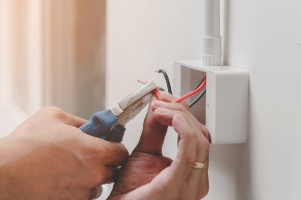 Best Electrical Panel Upgrades  in Polo, IL